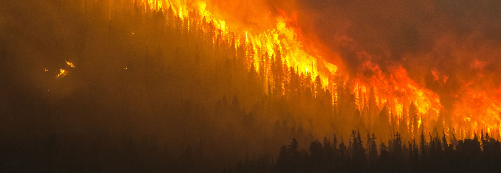 Jungle wildfires in the background